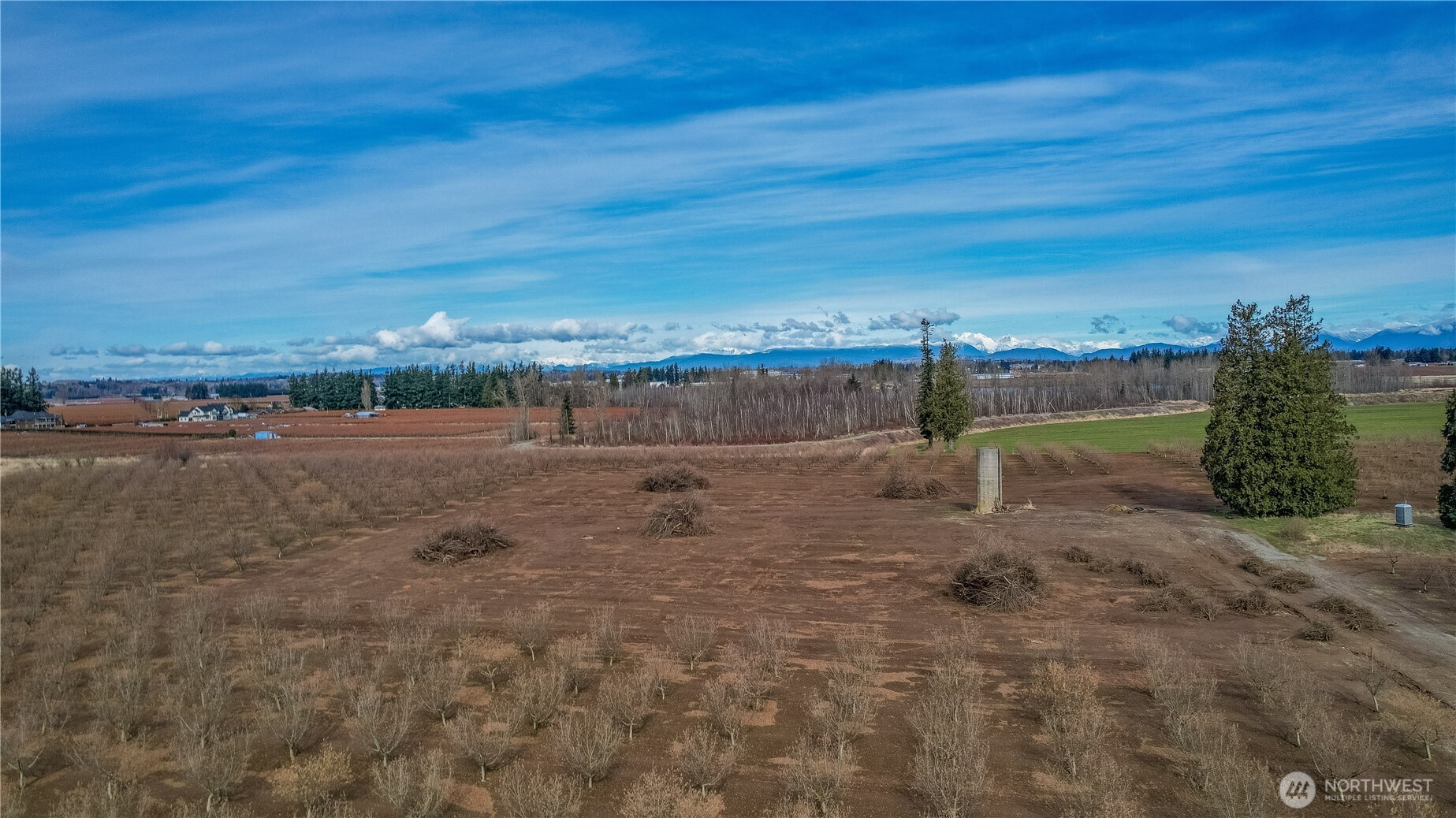 9919 Holmquist Road Property Photo 16