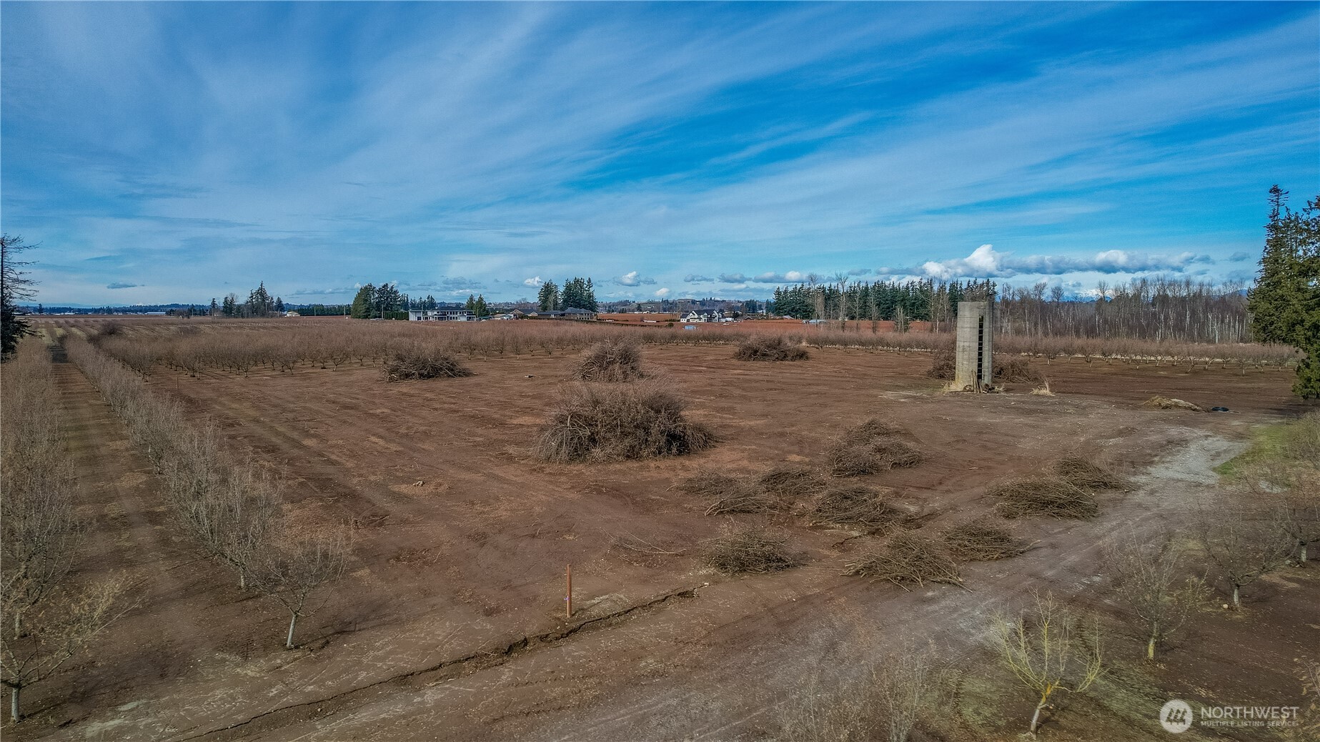 9919 Holmquist Road Property Photo 17