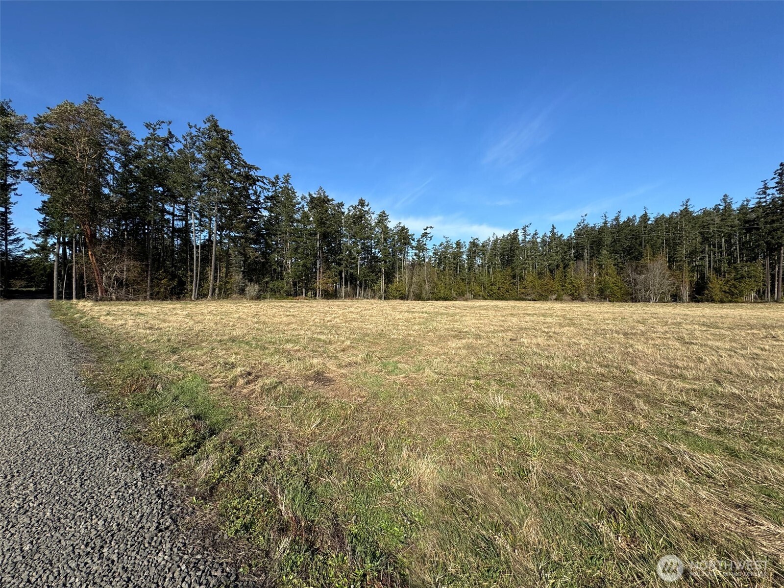 358 Daisey King Road Property Photo 4