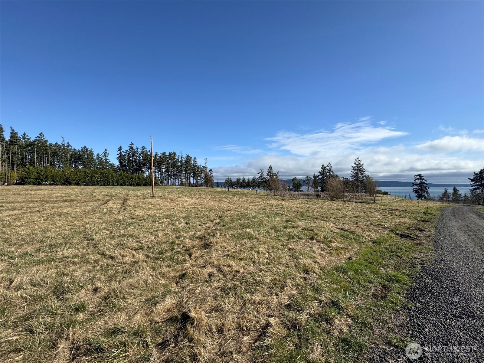 358 Daisey King Road Property Photo 5