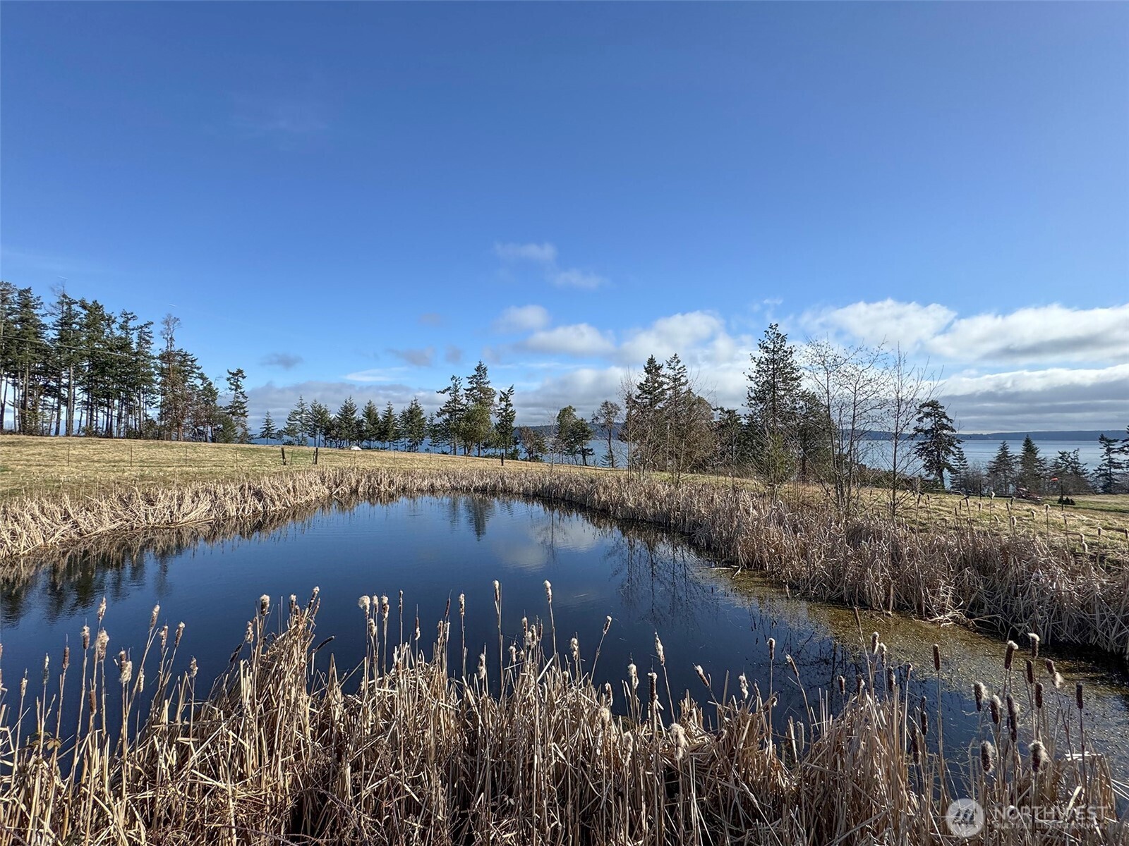 358 Daisey King Road Property Photo 8