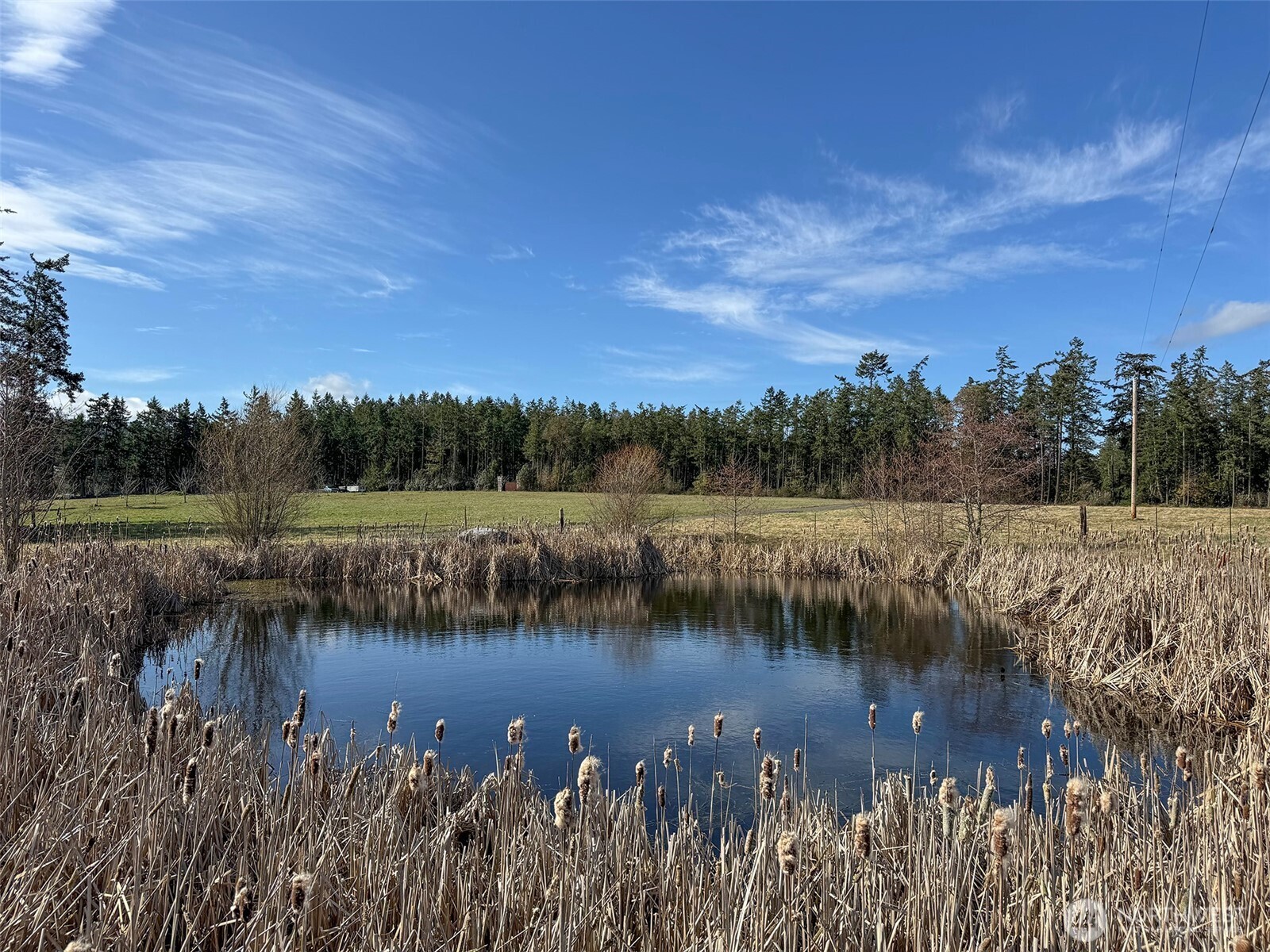 358 Daisey King Road Property Photo 11