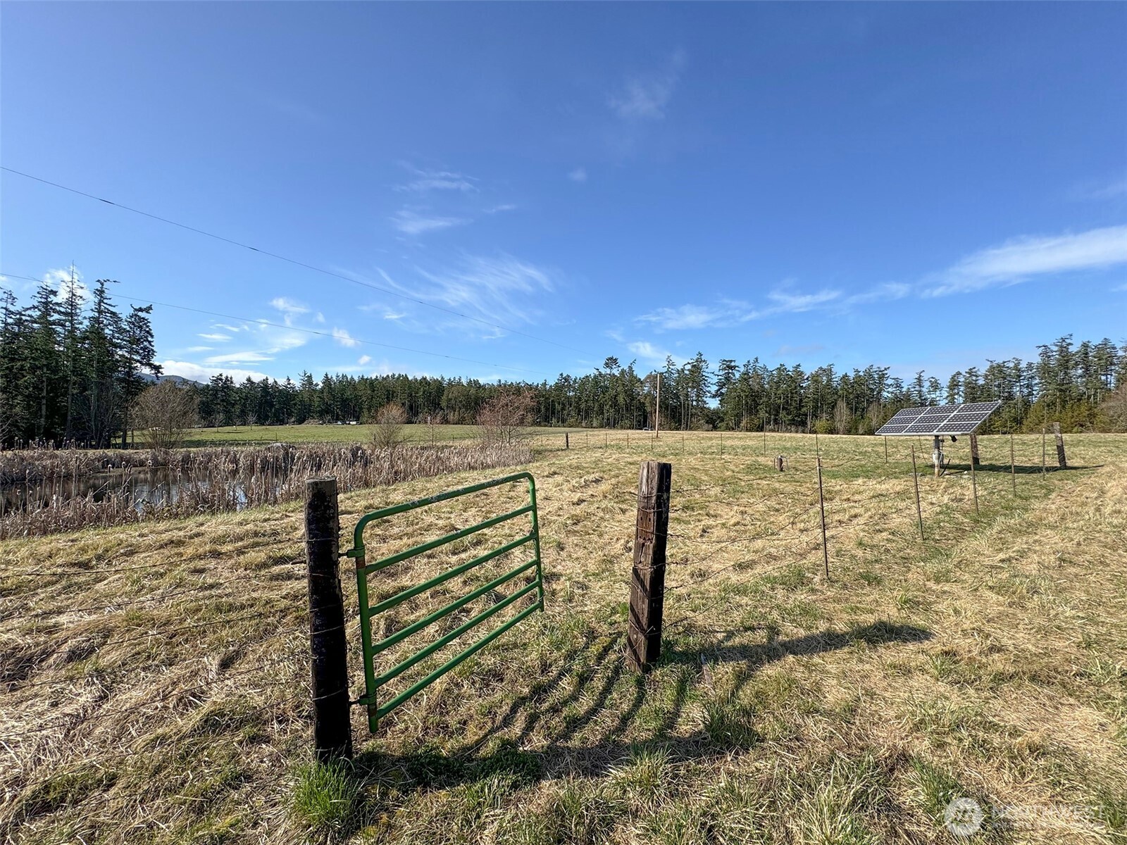 358 Daisey King Road Property Photo 12