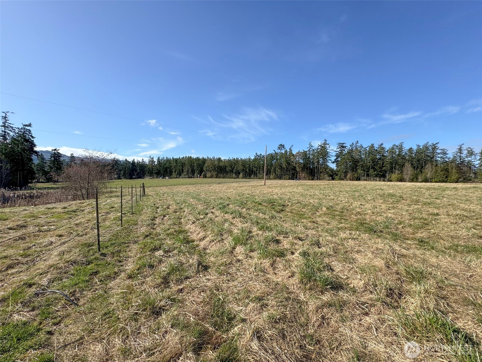 358 Daisey King Road Property Photo 13