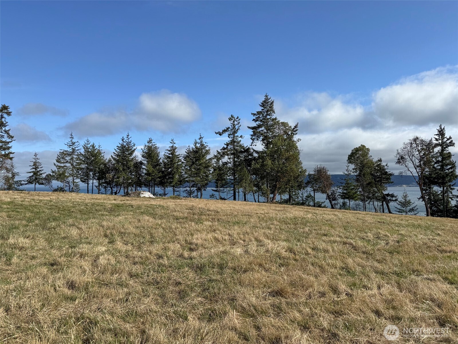 358 Daisey King Road Property Photo 14