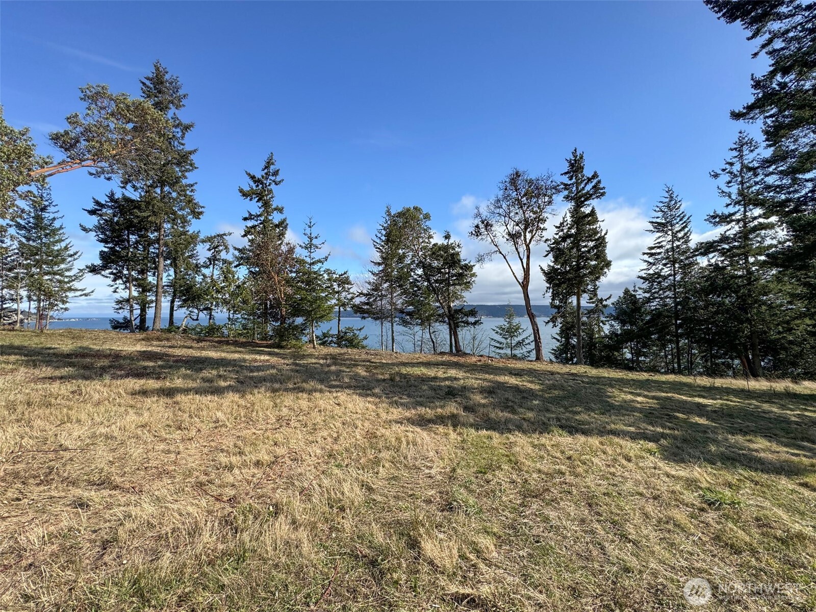 358 Daisey King Road Property Photo 16