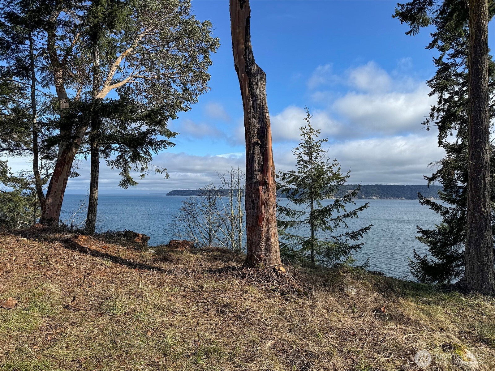 358 Daisey King Road Property Photo 17