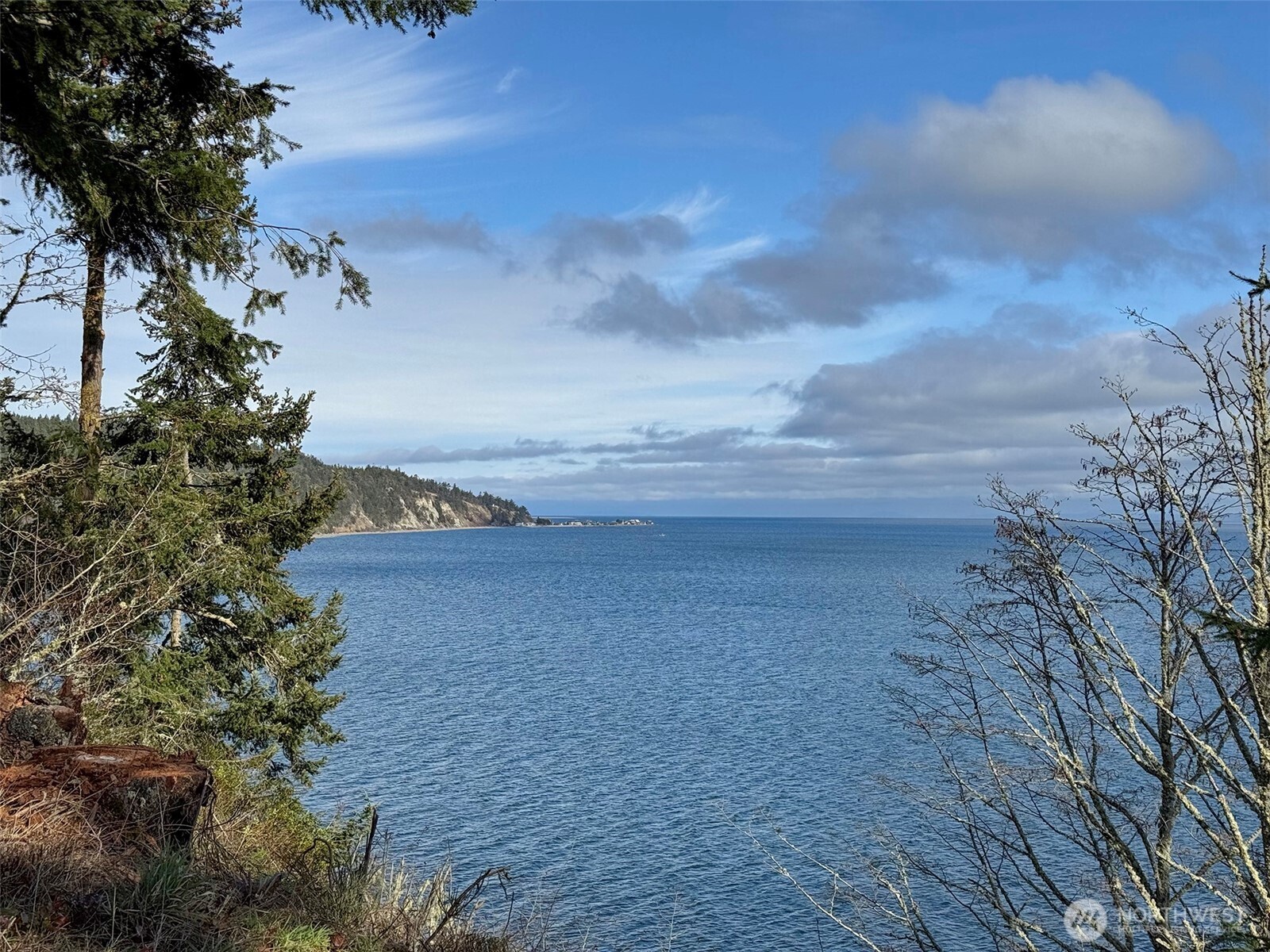 358 Daisey King Road Property Photo 18