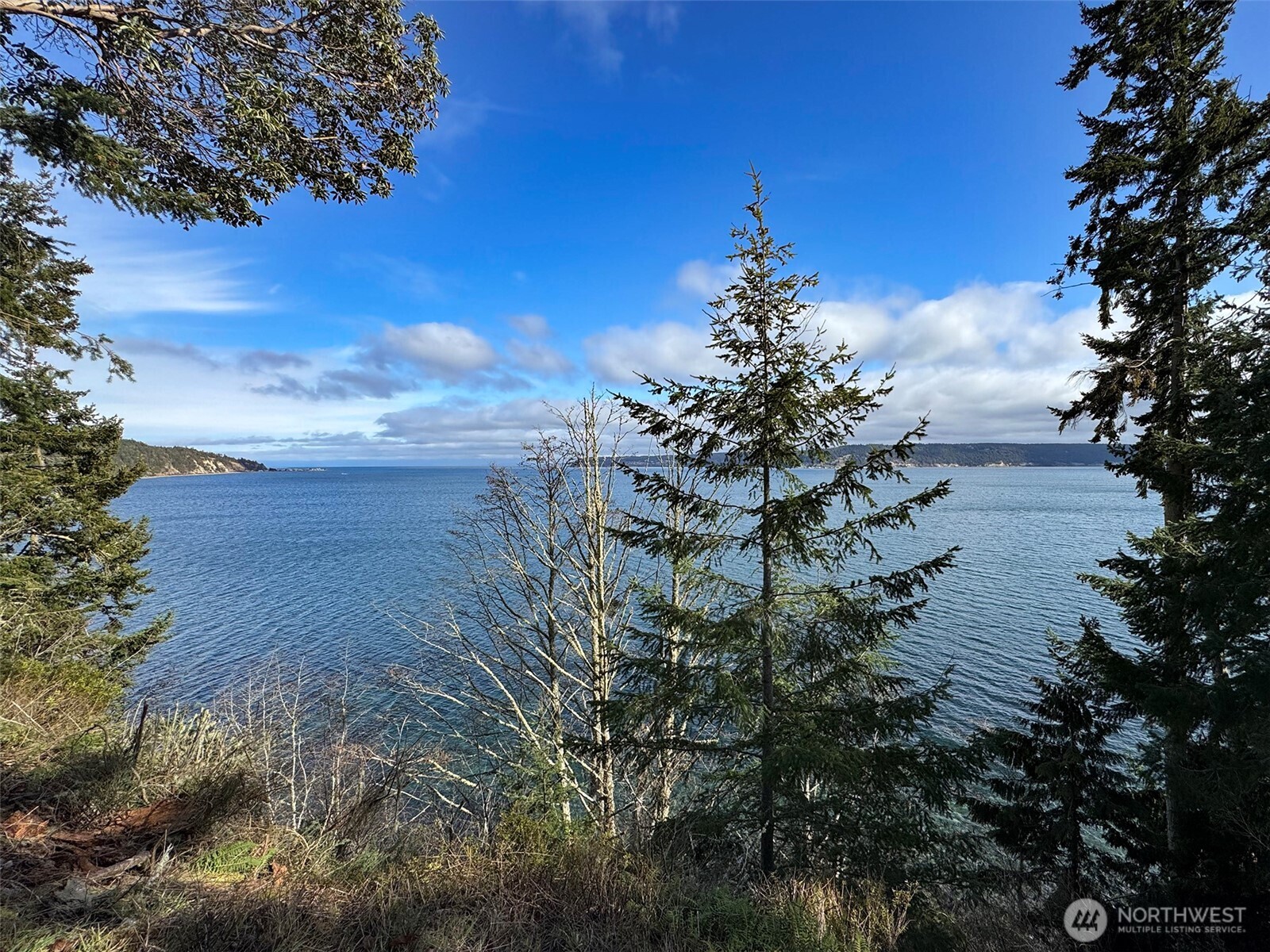 358 Daisey King Road Property Photo 19