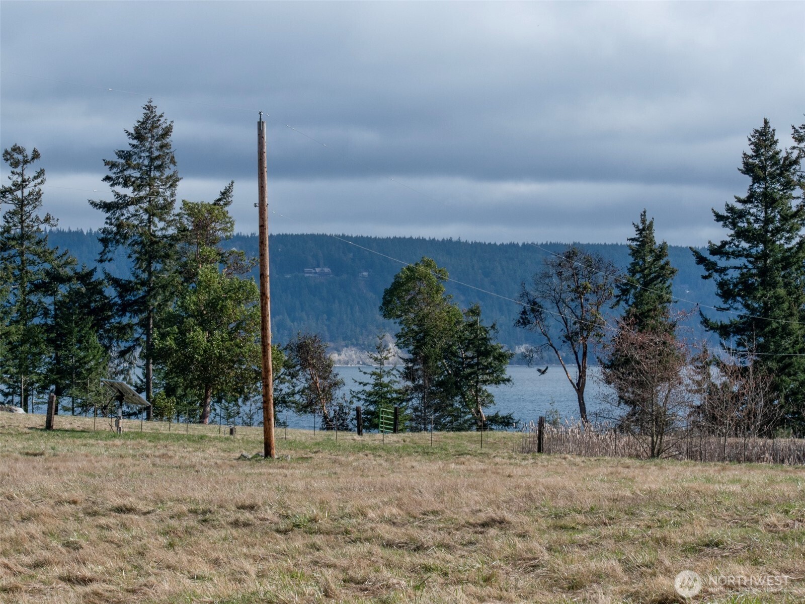 358 Daisey King Road Property Photo 29