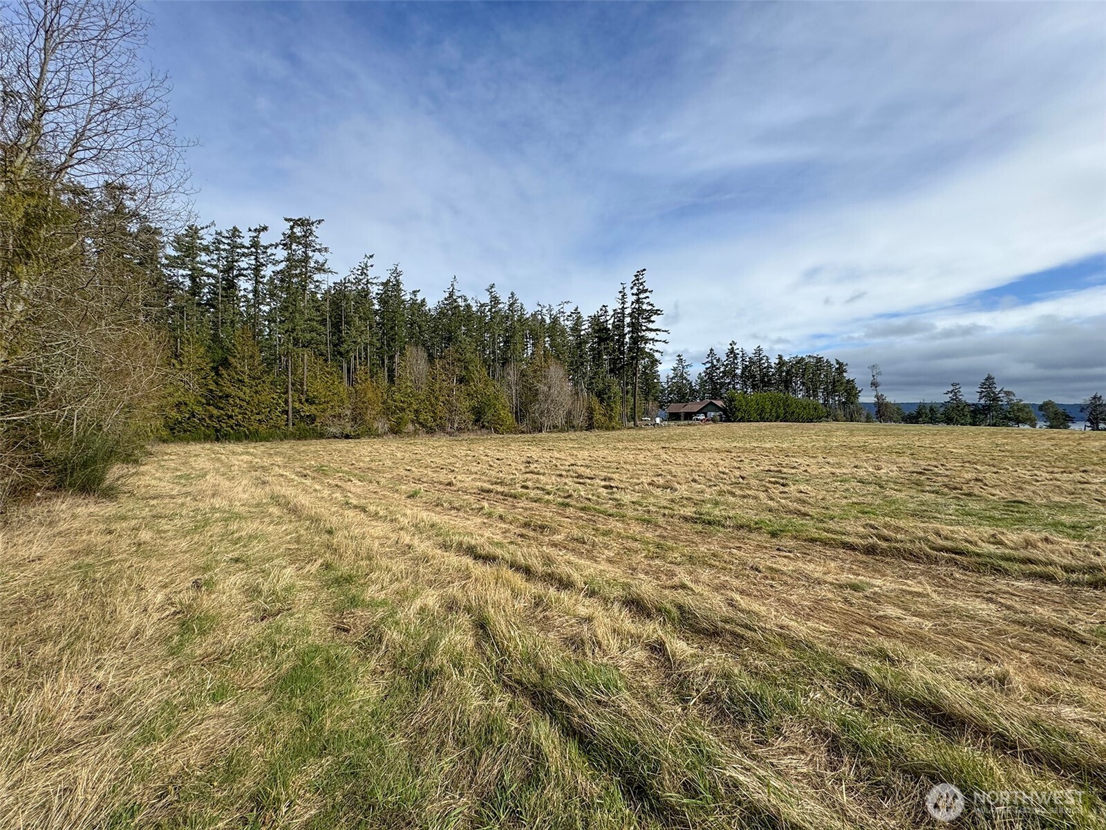 398 Daisey King Road Property Photo 3