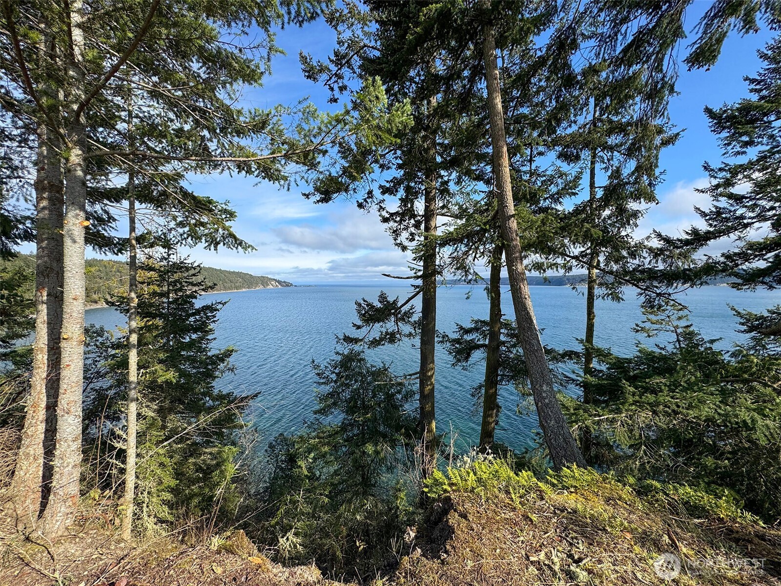 398 Daisey King Road Property Photo 4