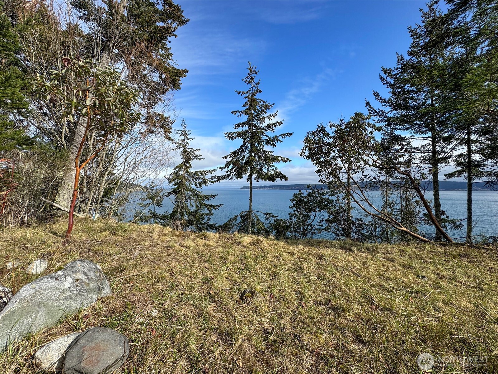 398 Daisey King Road Property Photo 5