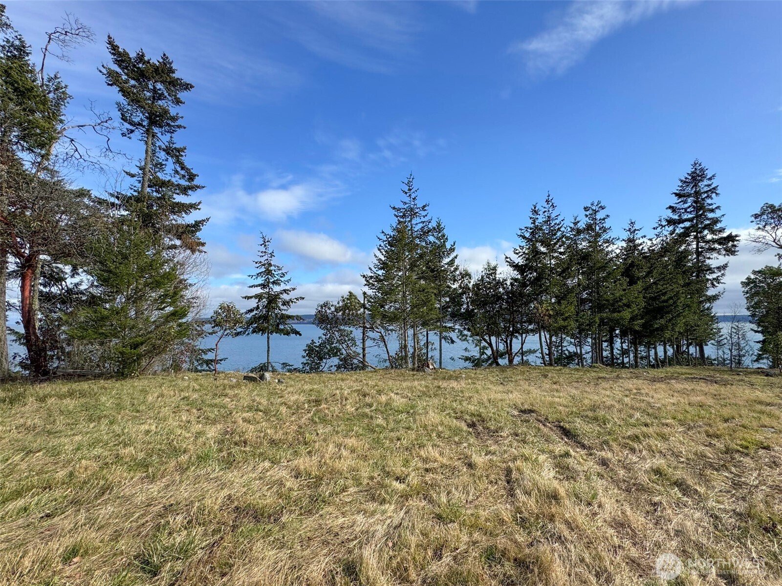 398 Daisey King Road Property Photo 6