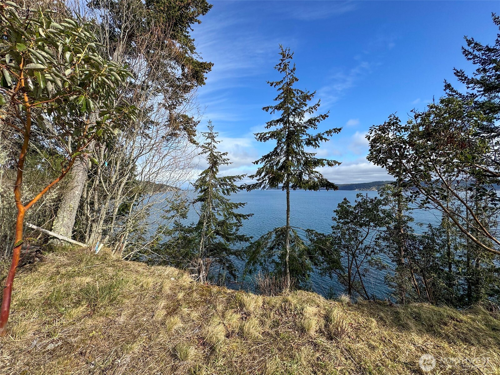 398 Daisey King Road Property Photo 7