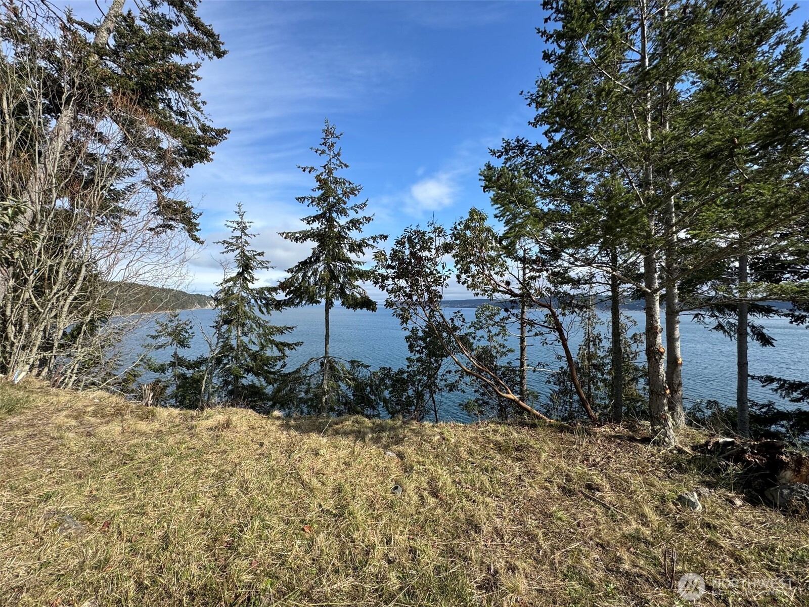 398 Daisey King Road Property Photo 8