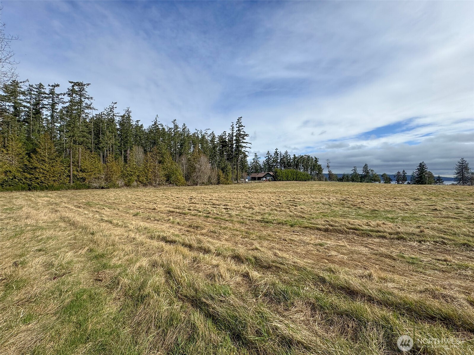 398 Daisey King Road Property Photo 11