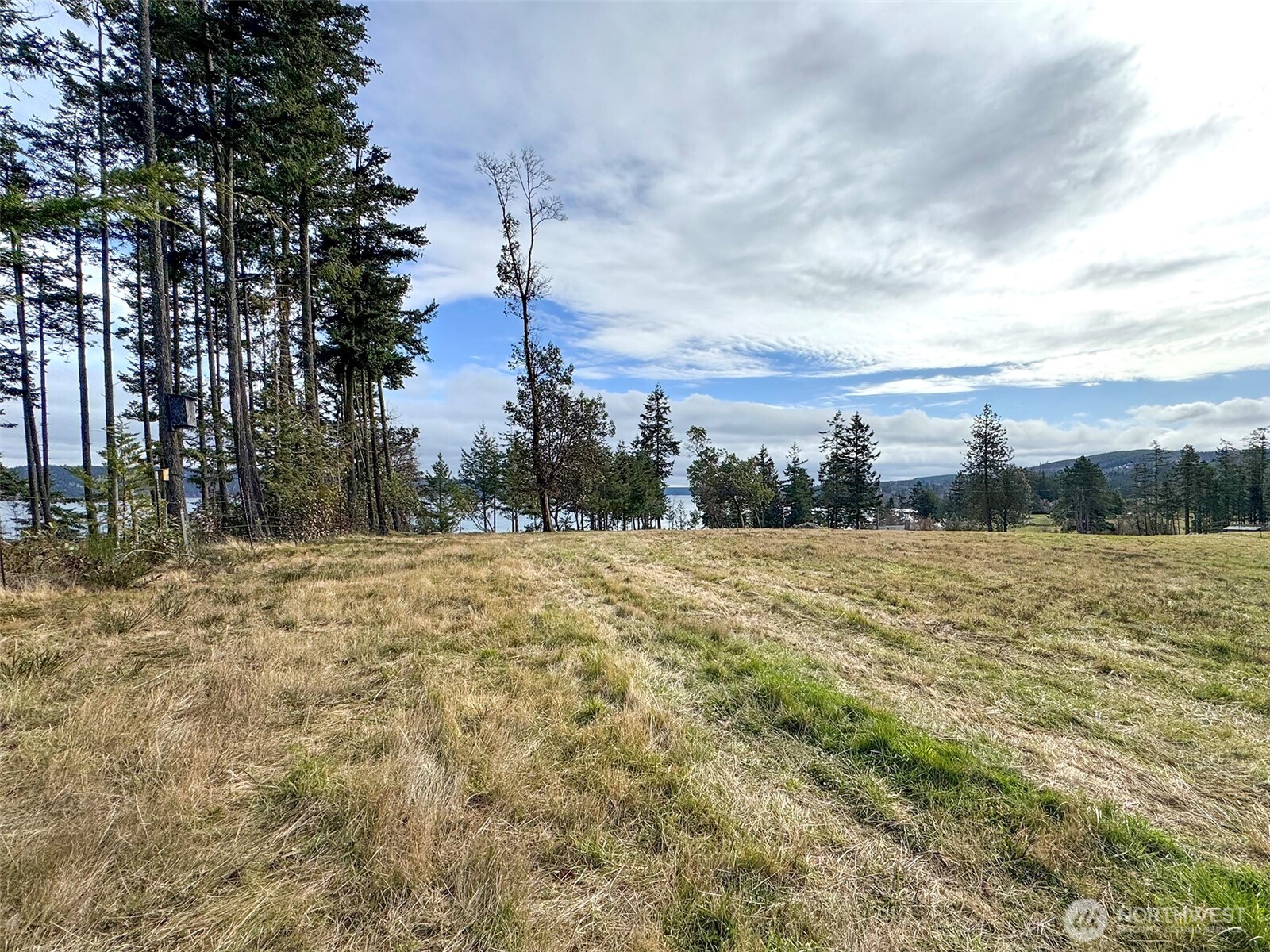 398 Daisey King Road Property Photo 12