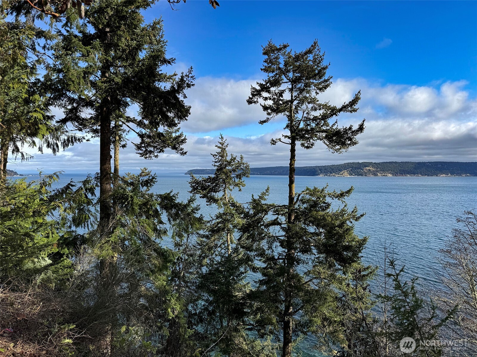398 Daisey King Road Property Photo 16