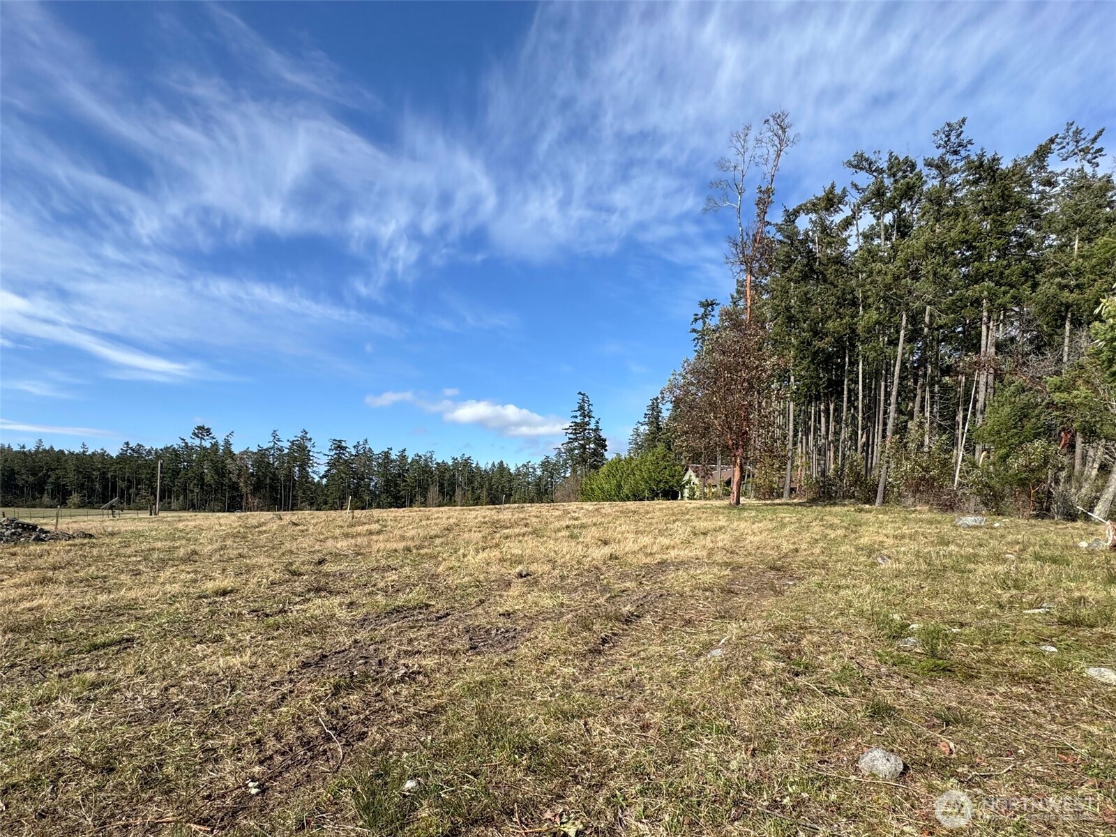 398 Daisey King Road Property Photo 18