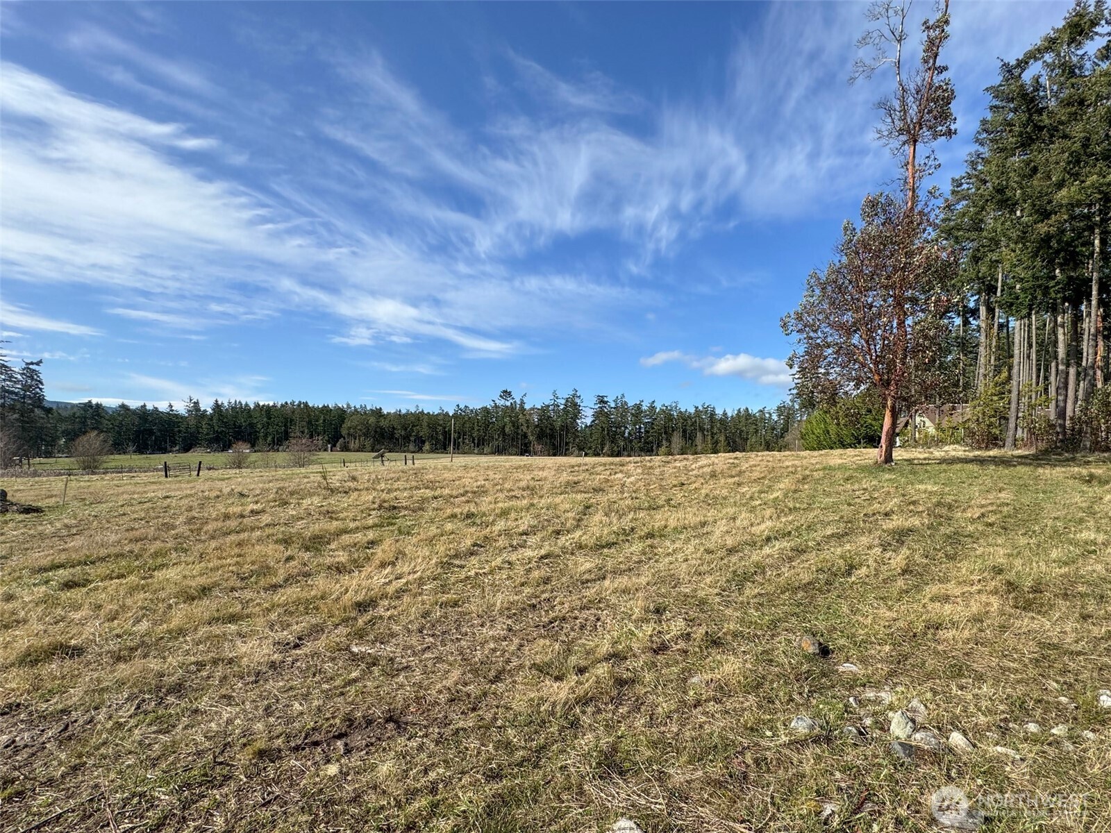 398 Daisey King Road Property Photo 19