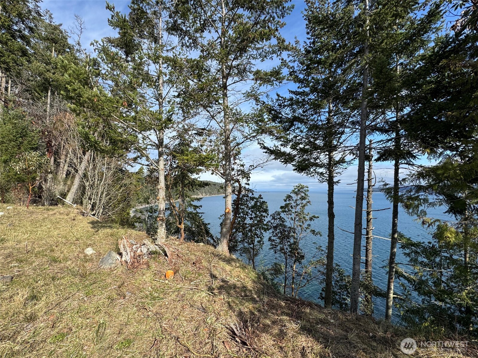 398 Daisey King Road Property Photo 20