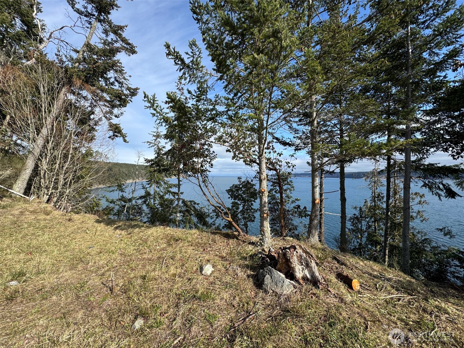 398 Daisey King Road Property Photo 21