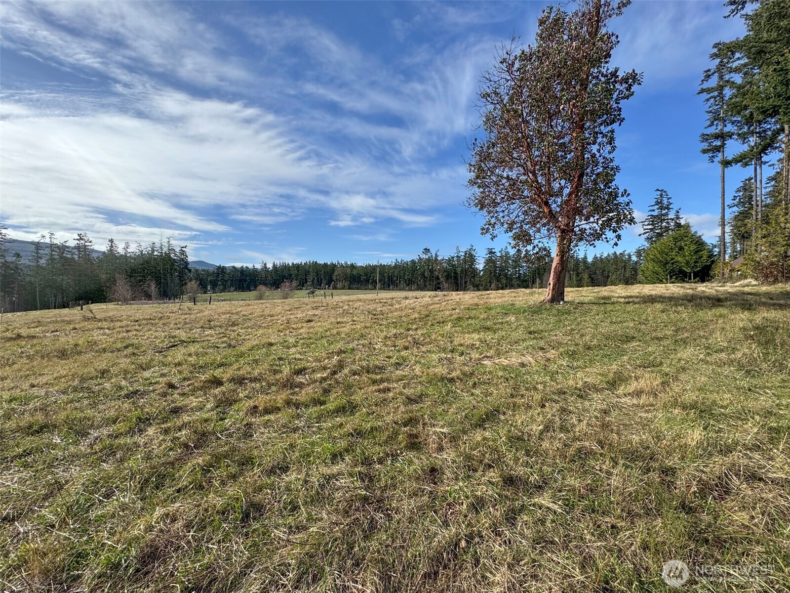 398 Daisey King Road Property Photo 22