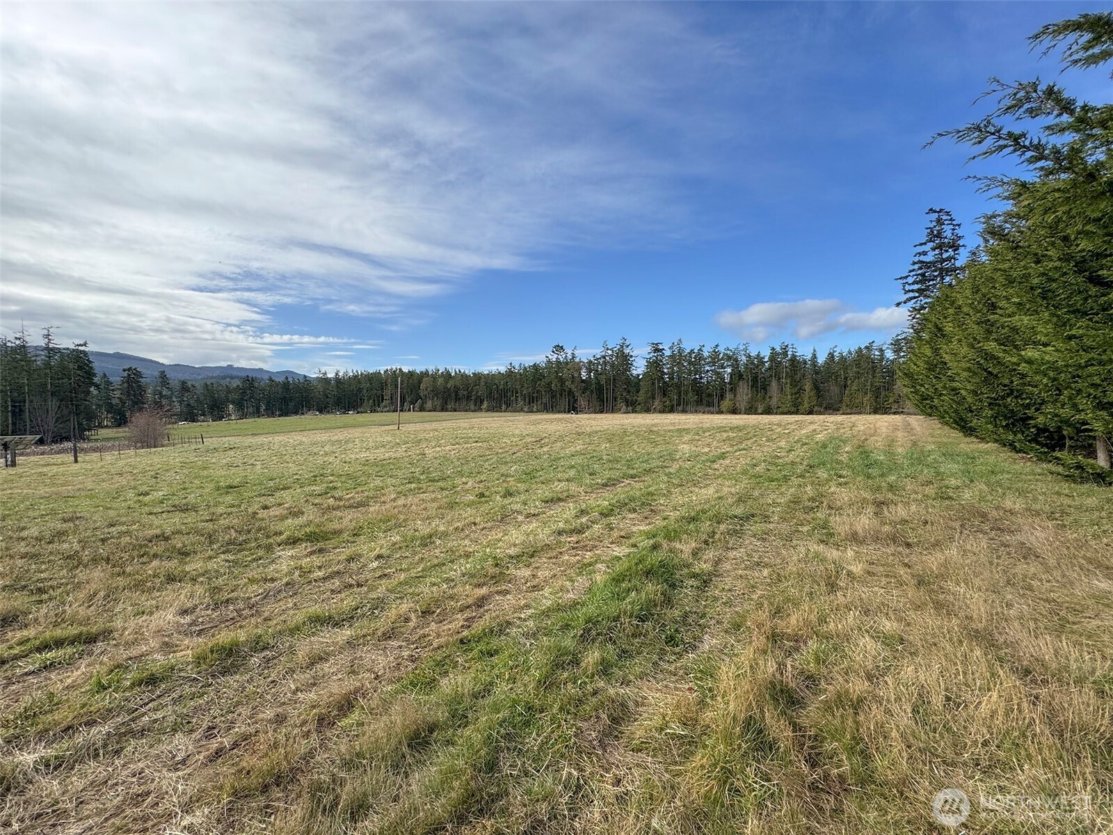 398 Daisey King Road Property Photo 23