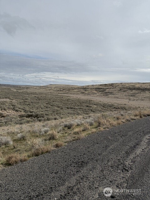 0 Hwy 21 And Lind Ralston Road Property Photo 2