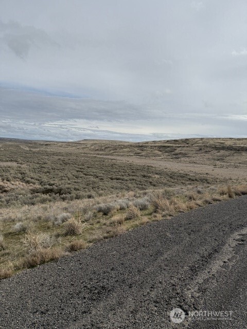 0 Hwy 21 And Lind Ralston Road Property Photo 3