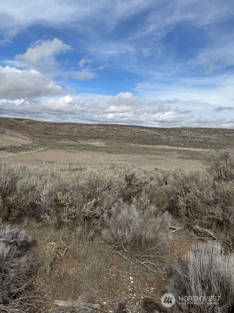 0 Hwy 21 And Lind Ralston Road Property Photo 4