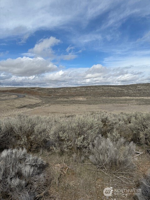 0 Hwy 21 And Lind Ralston Road Property Photo 5