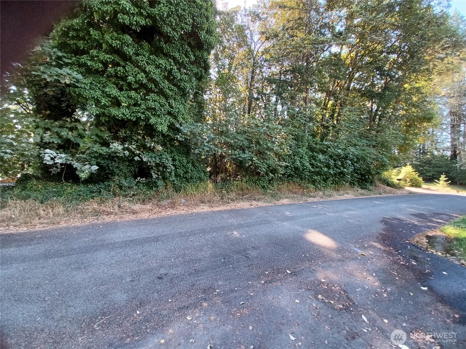 0 Xxxx Vincent Way Property Photo 2