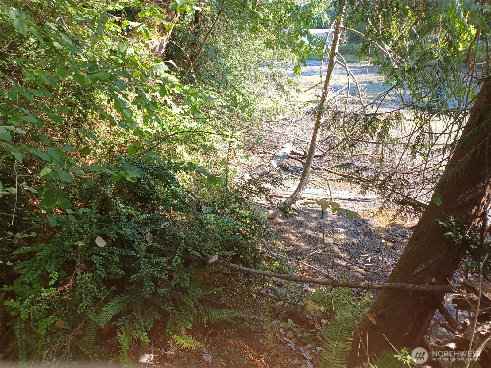 0 Xxxx Vincent Way Property Photo 3