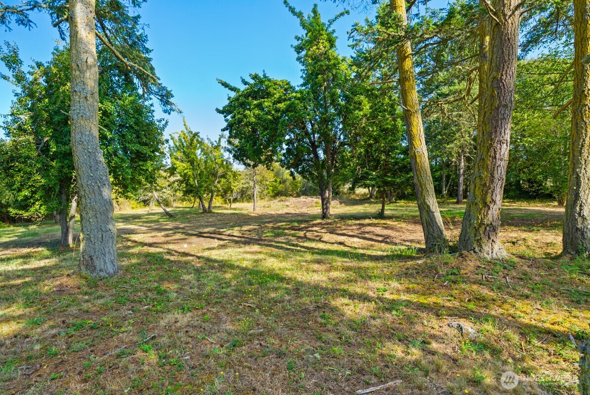 111 Baker Lane Property Photo 16