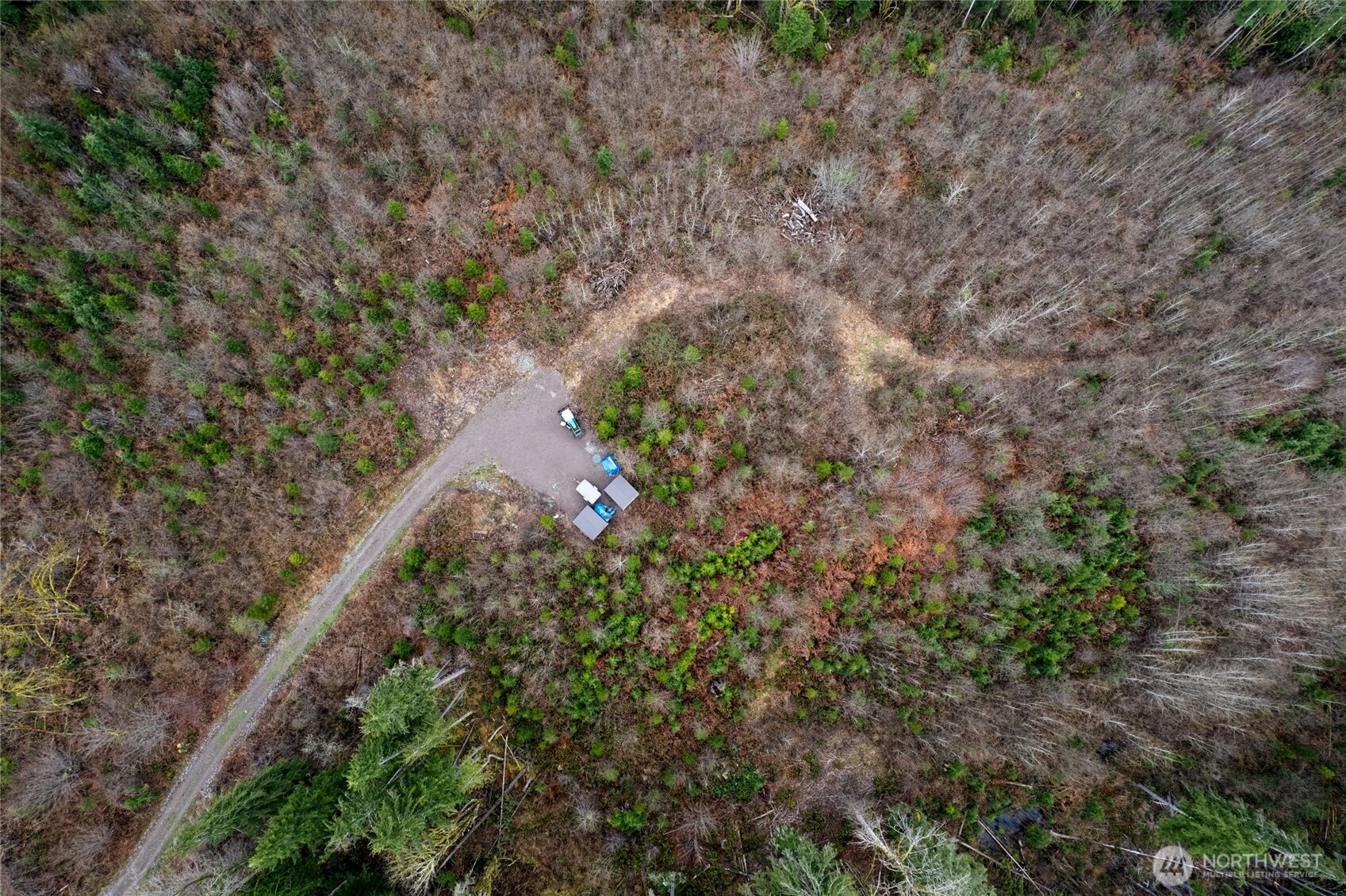 18812 299th Avenue Property Photo 3