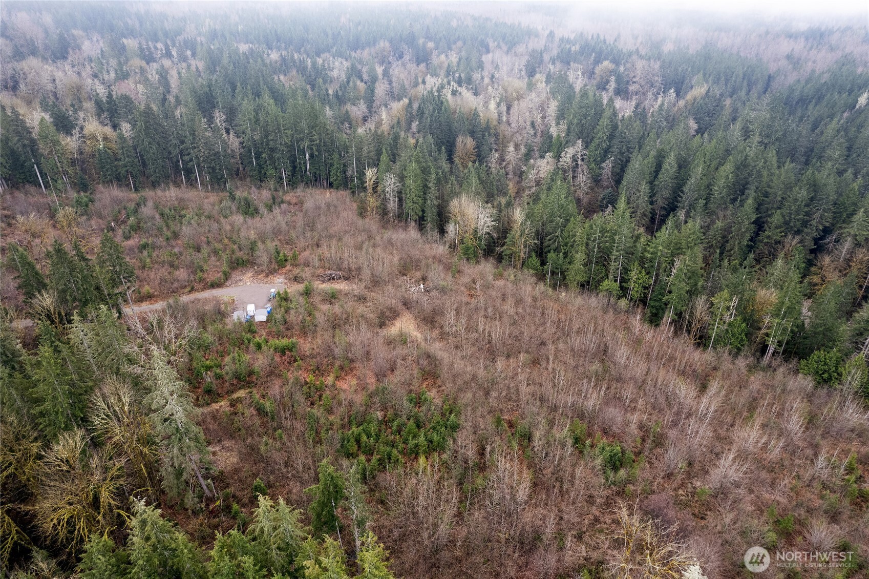 18812 299th Avenue Property Photo 4