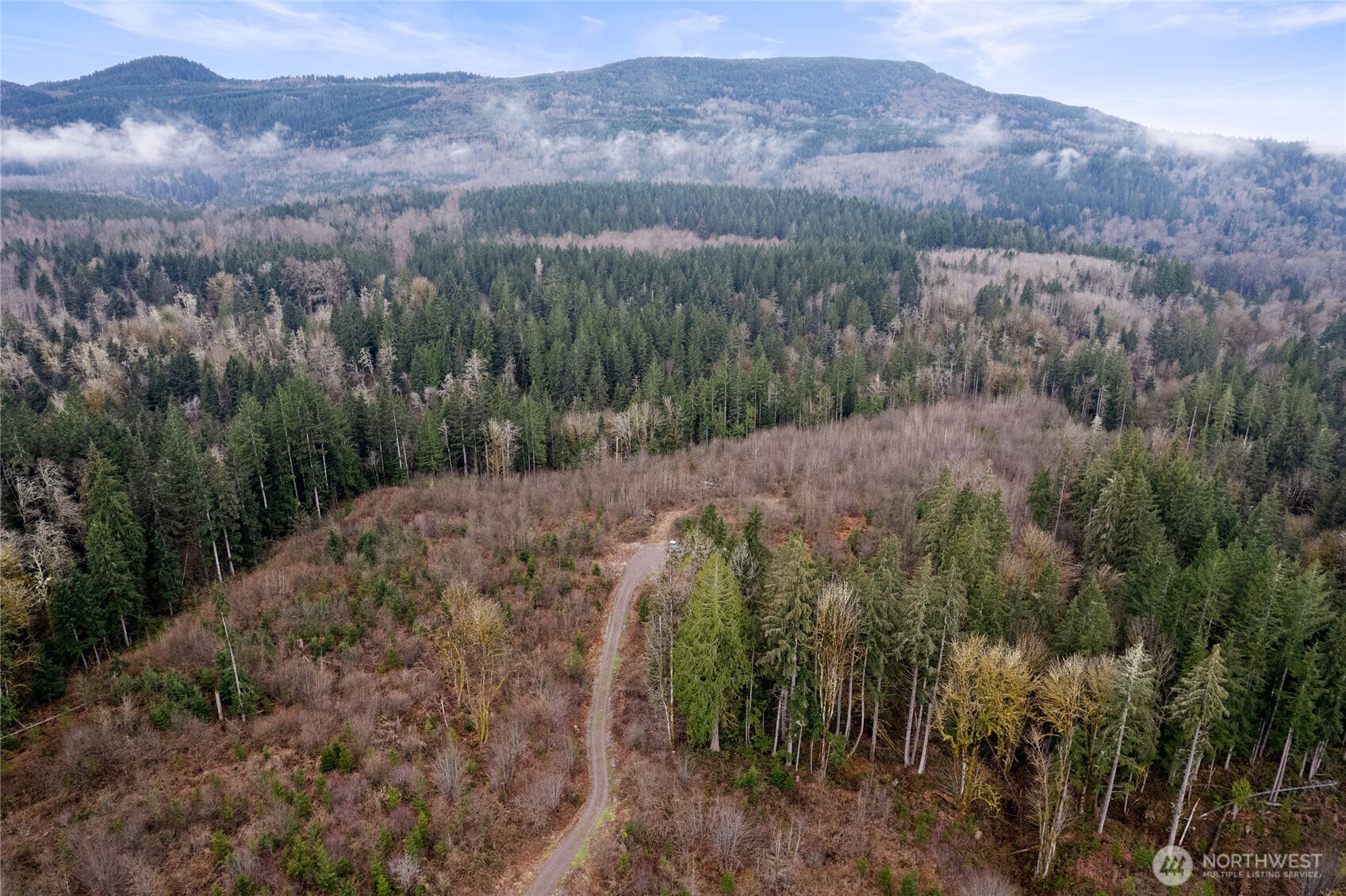 18812 299th Avenue Property Photo 7