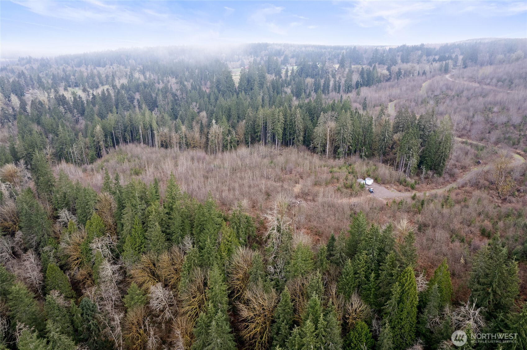 18812 299th Avenue Property Photo 8