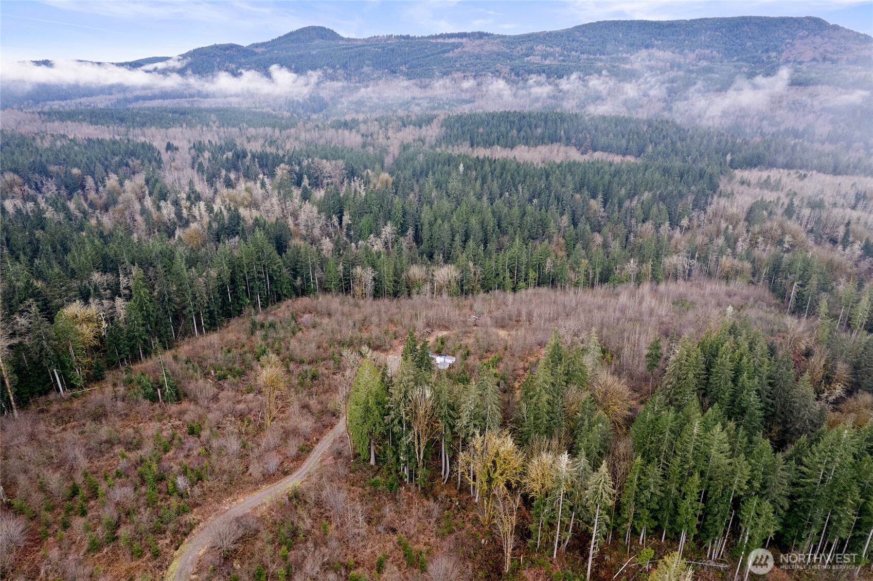 18812 299th Avenue Property Photo 9