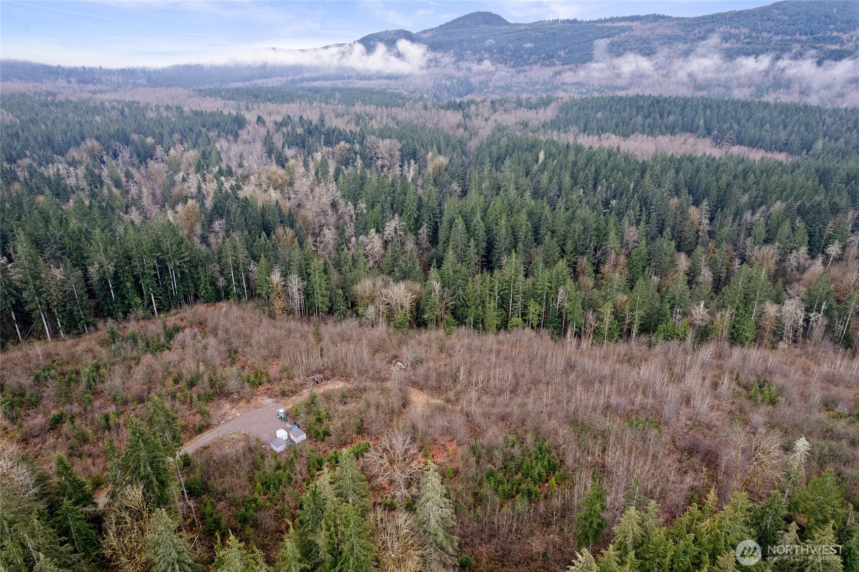 18812 299th Avenue Property Photo 10
