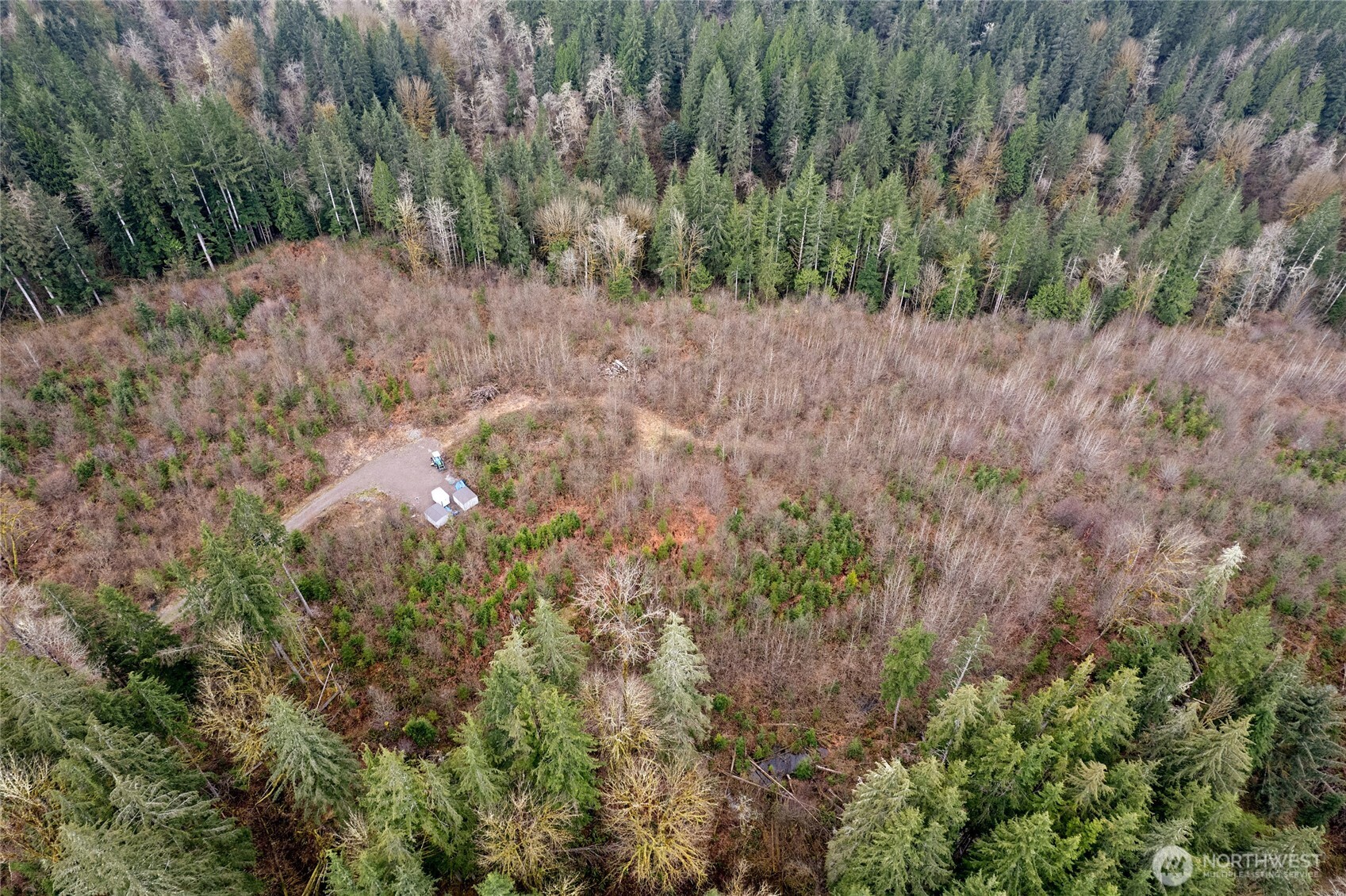 18812 299th Avenue Property Photo 11