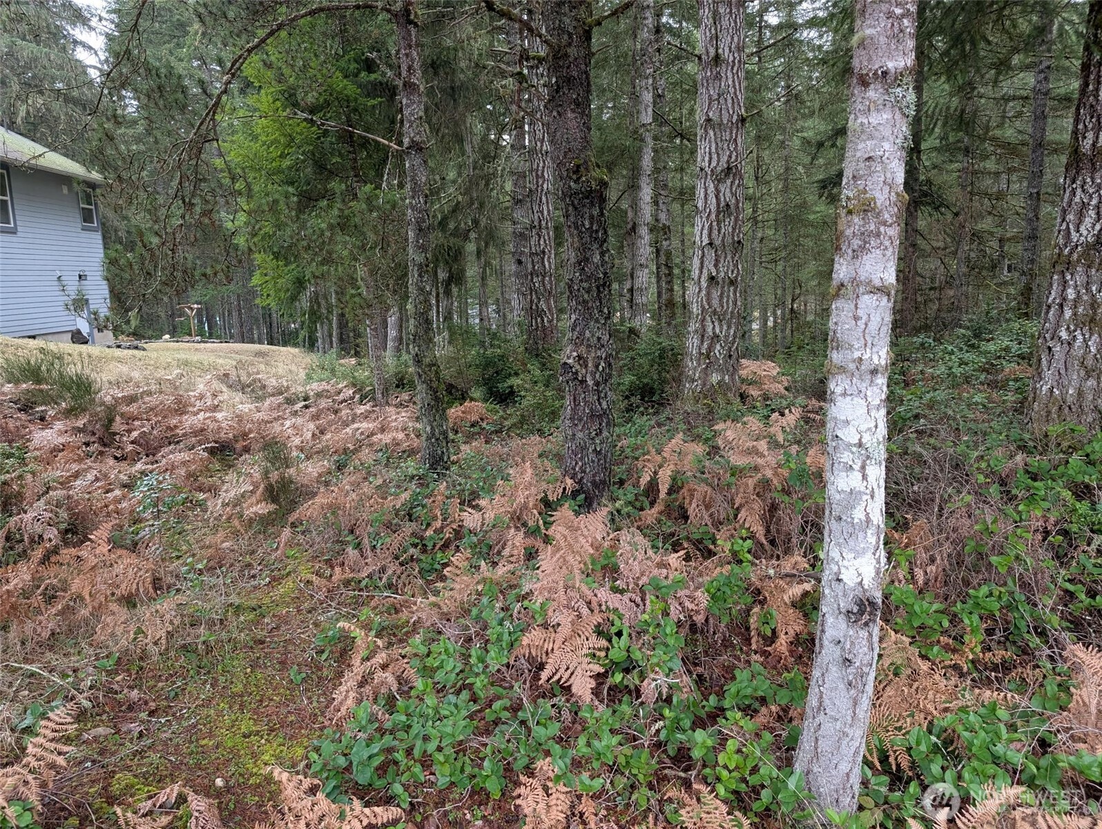 80 E Hemlock Property Photo 2