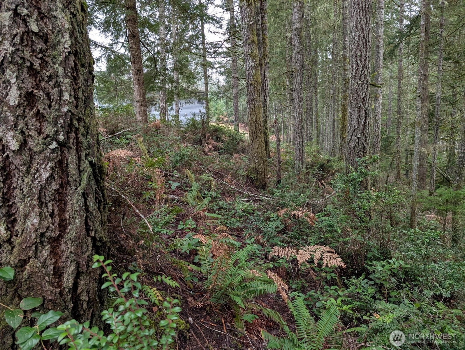 80 E Hemlock Property Photo 3