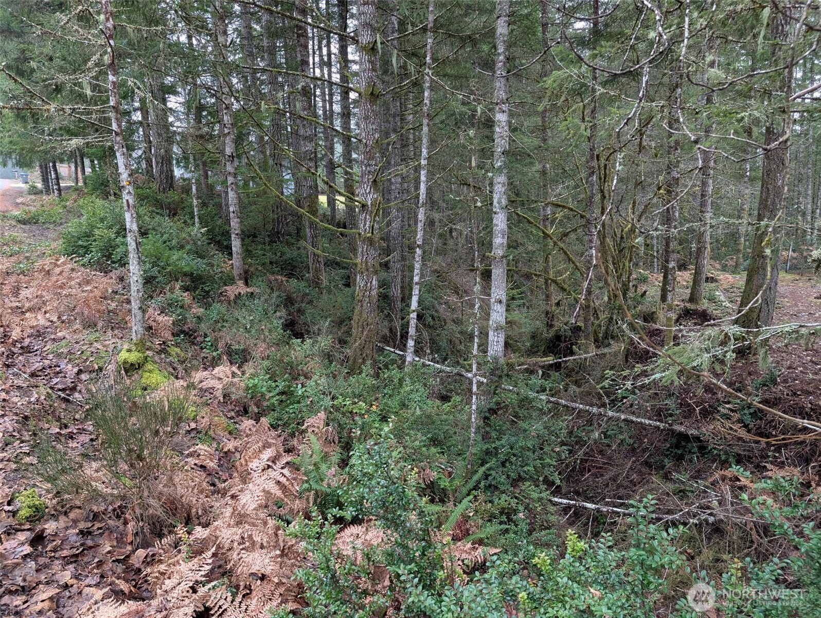80 E Hemlock Property Photo 5