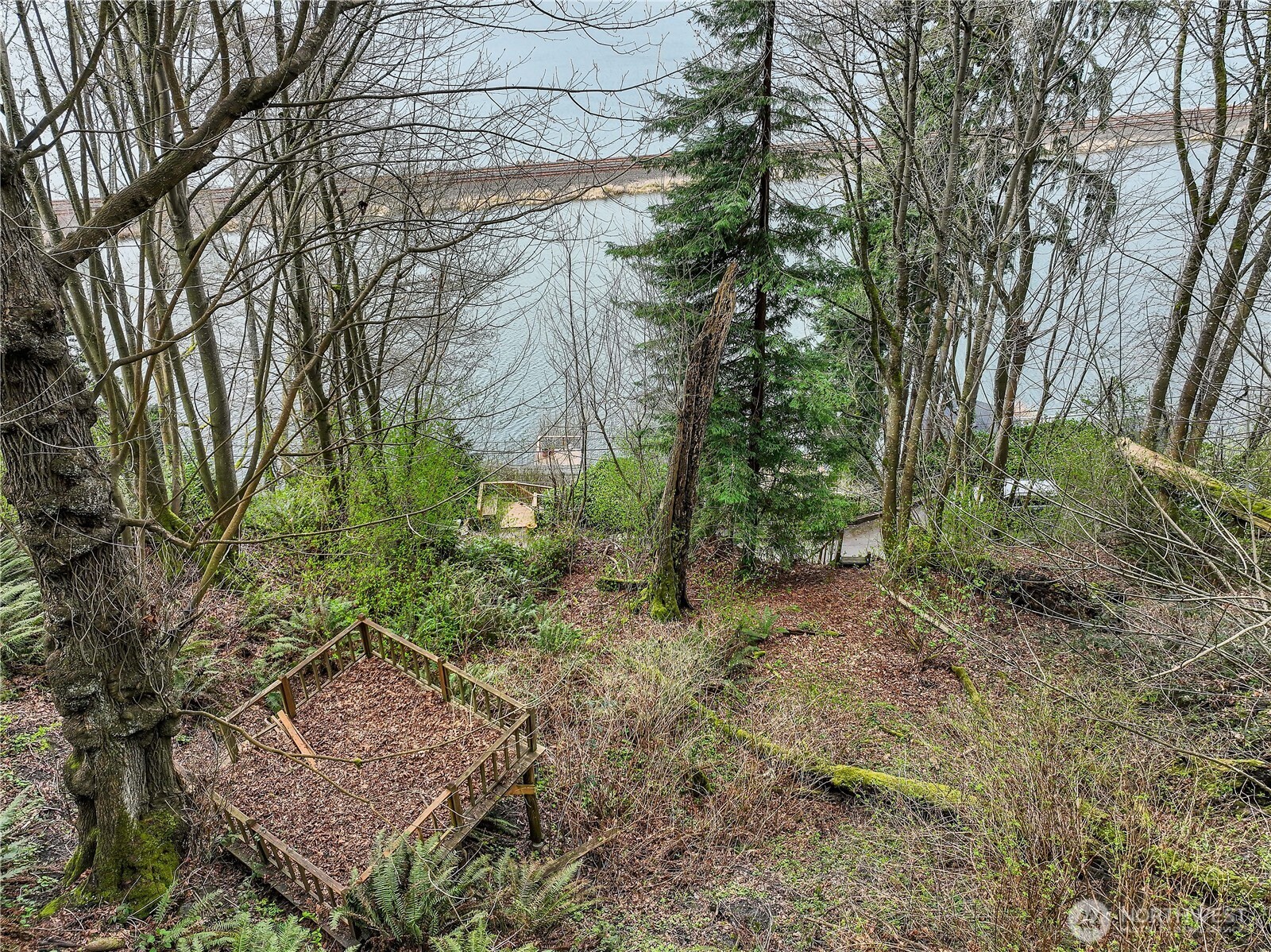 12733 Possession Lane Property Photo 6