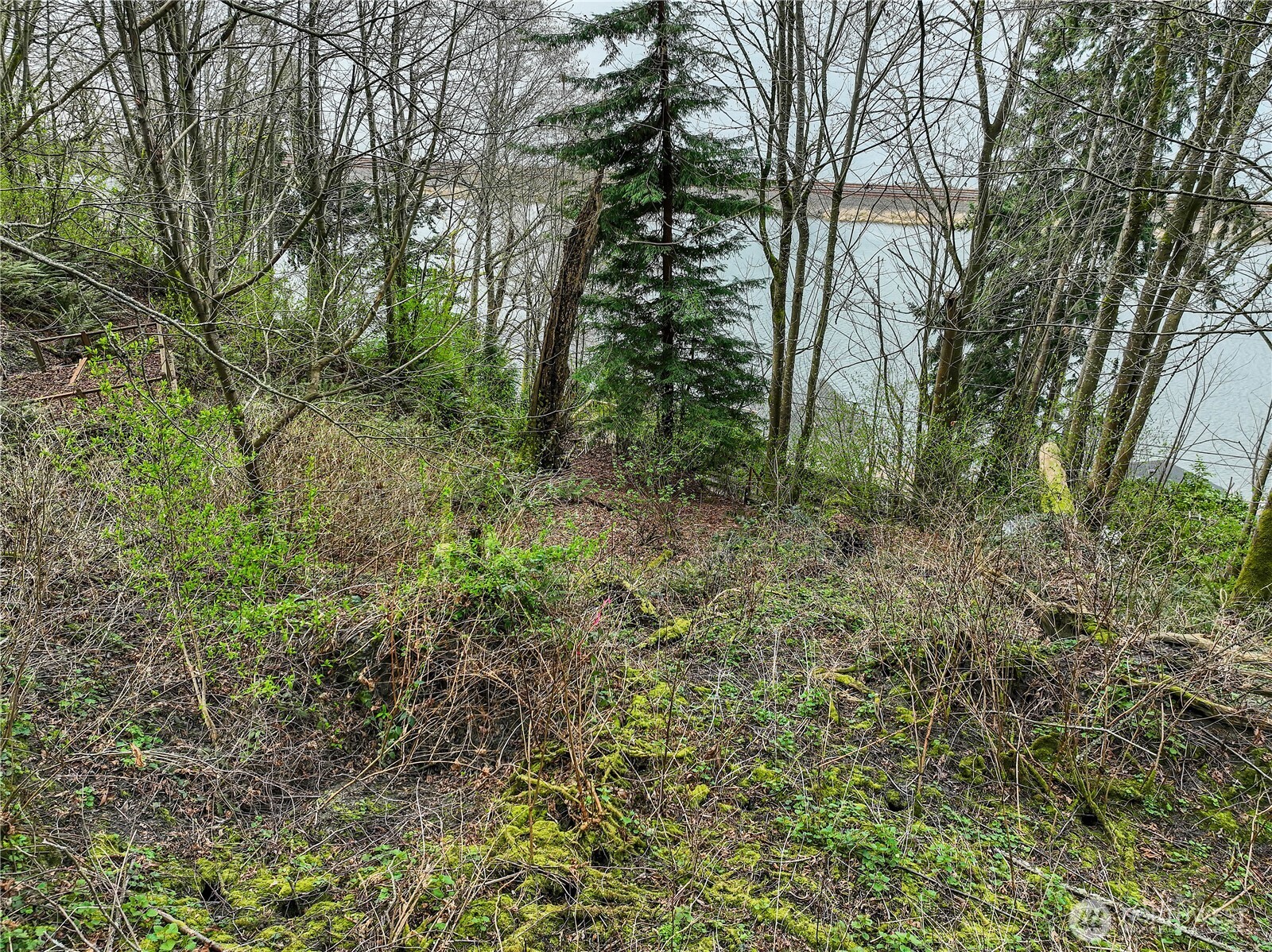12733 Possession Lane Property Photo 7