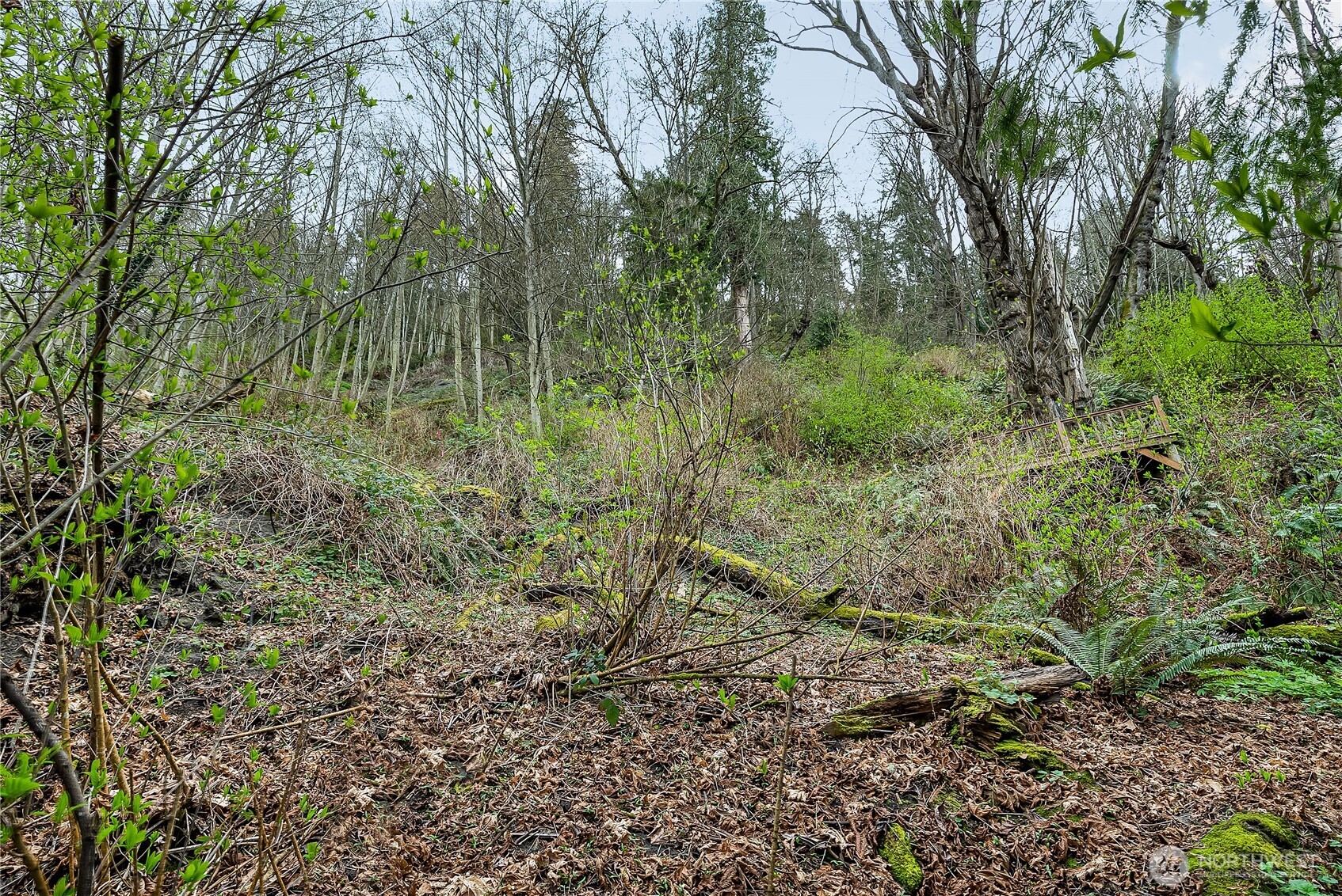 12733 Possession Lane Property Photo 8