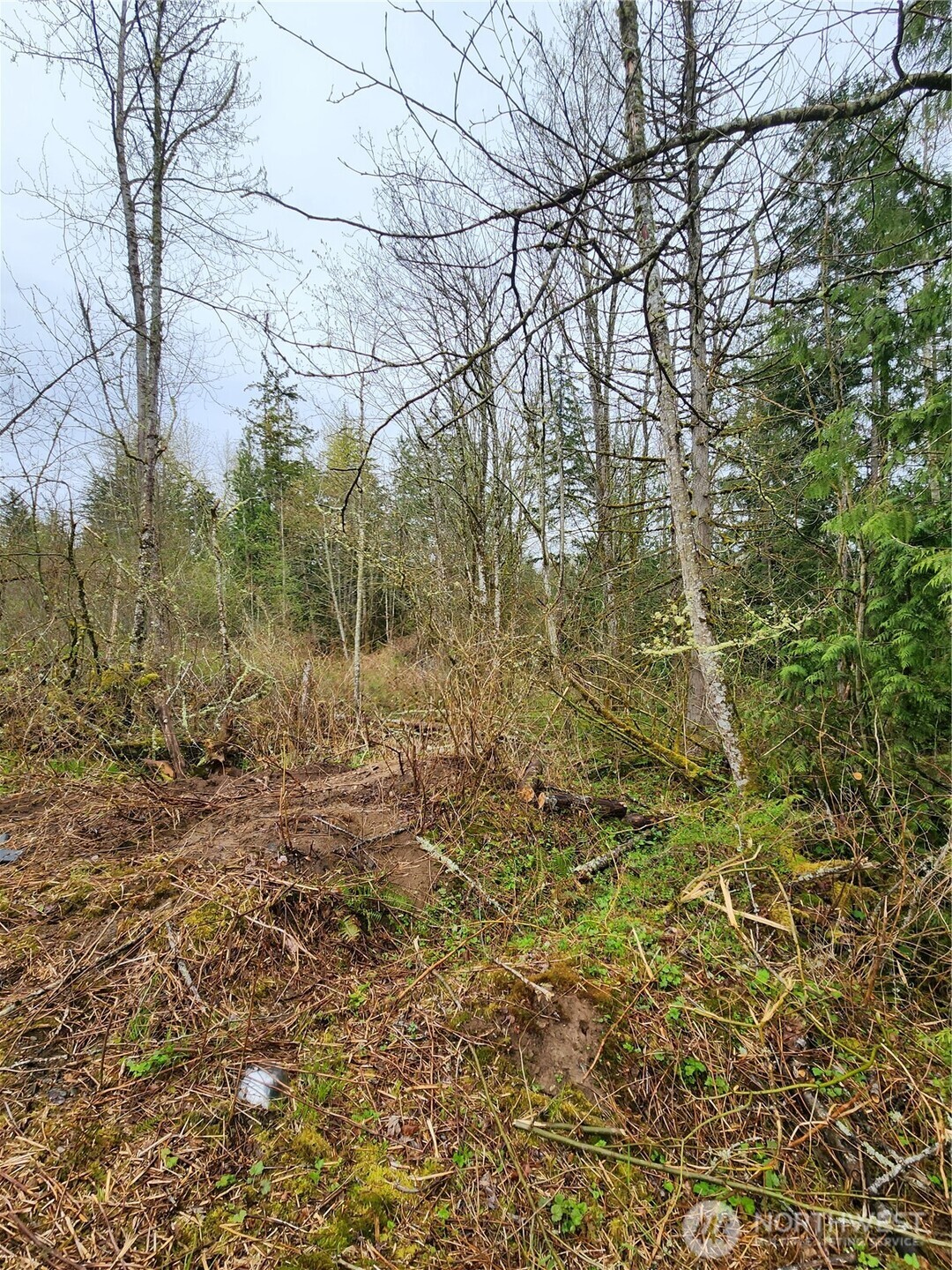 2316 Goshen Drive Property Photo 4